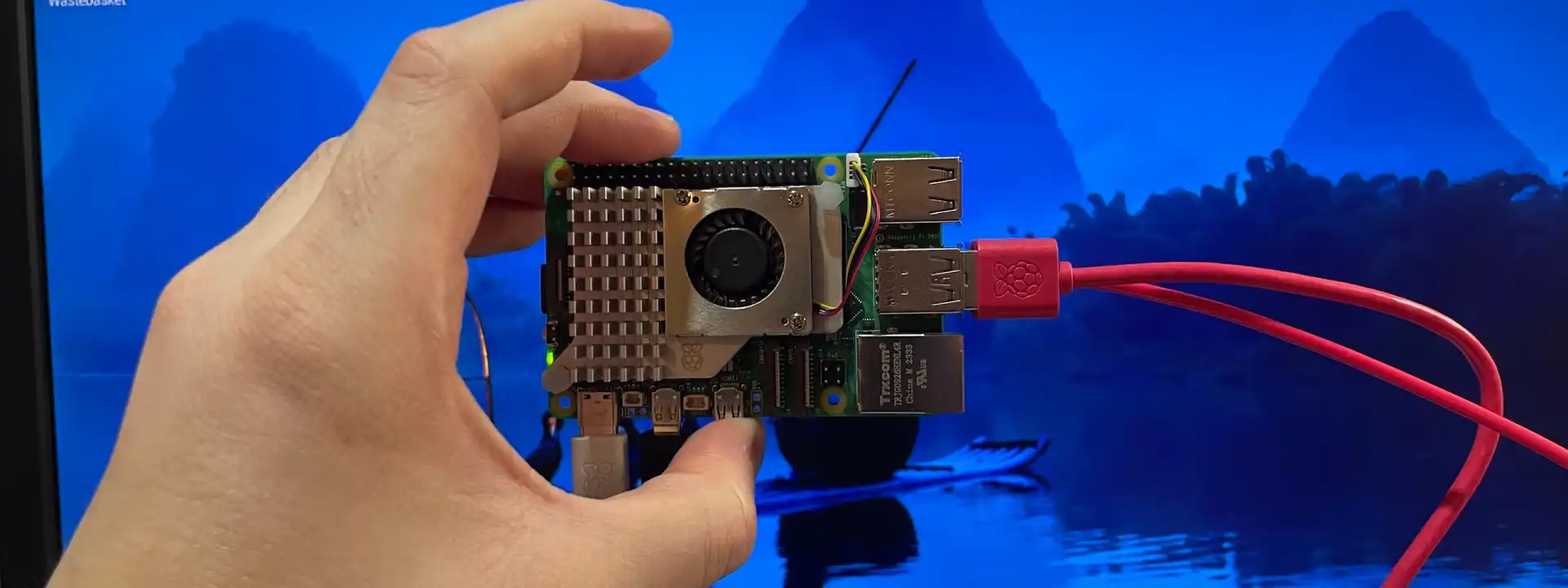 Raspberry Pi Holdings Case Study