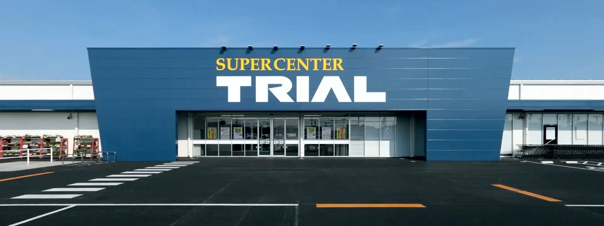 Trial Holdings Case Study